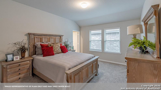 707 Wild Olive Way Seguin, TX 78155 - Photo 17 of 28