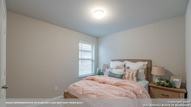 707 Wild Olive Way Seguin, TX 78155 - Photo 4 of 28