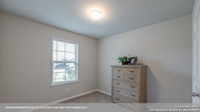 707 Wild Olive Way Seguin, TX 78155 - Photo 5 of 28