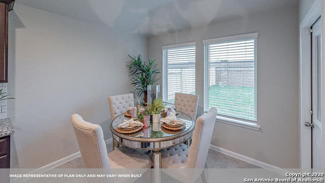 707 Wild Olive Way Seguin, TX 78155 - Photo 6 of 28