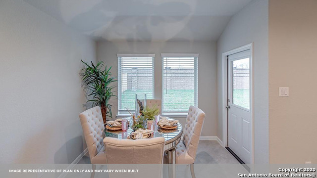 707 Wild Olive Way Seguin, TX 78155 - Photo 7 of 28