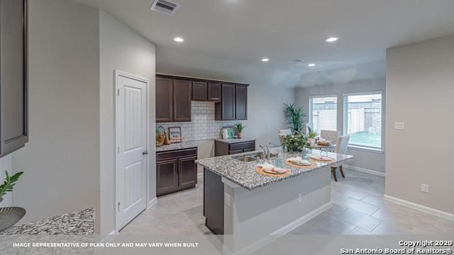 707 Wild Olive Way Seguin, TX 78155 - Photo 9 of 28