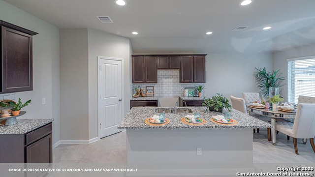 707 Wild Olive Way Seguin, TX 78155 - Photo 10 of 28