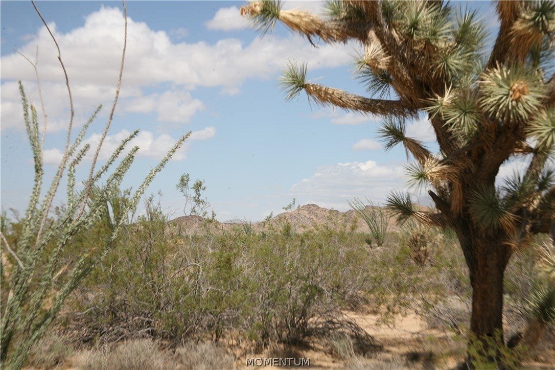 016 South Gene Autry Road Yucca, AZ 86438 - Photo 16 of 38 Gallery Image 16