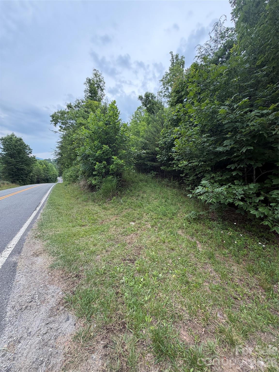 Lot 8 Parker Padgett Road Old Fort, NC 28762 - Photo 12 of 14