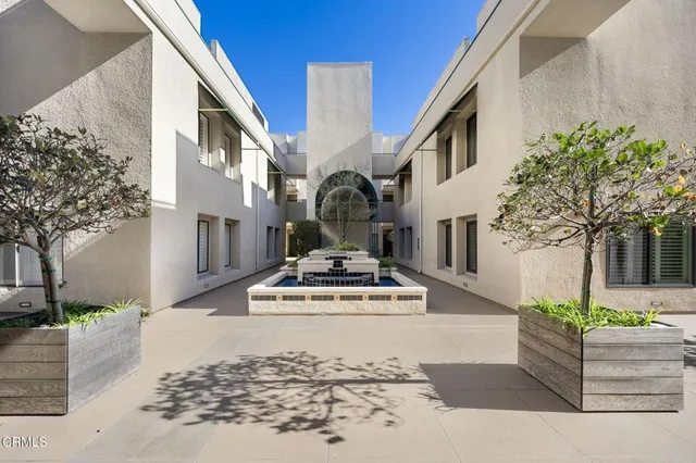 a view of a fireplace with potted plants in front of door