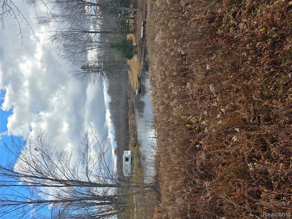 Vl Birch Road Evart, MI 49631 - Photo 3 of 8