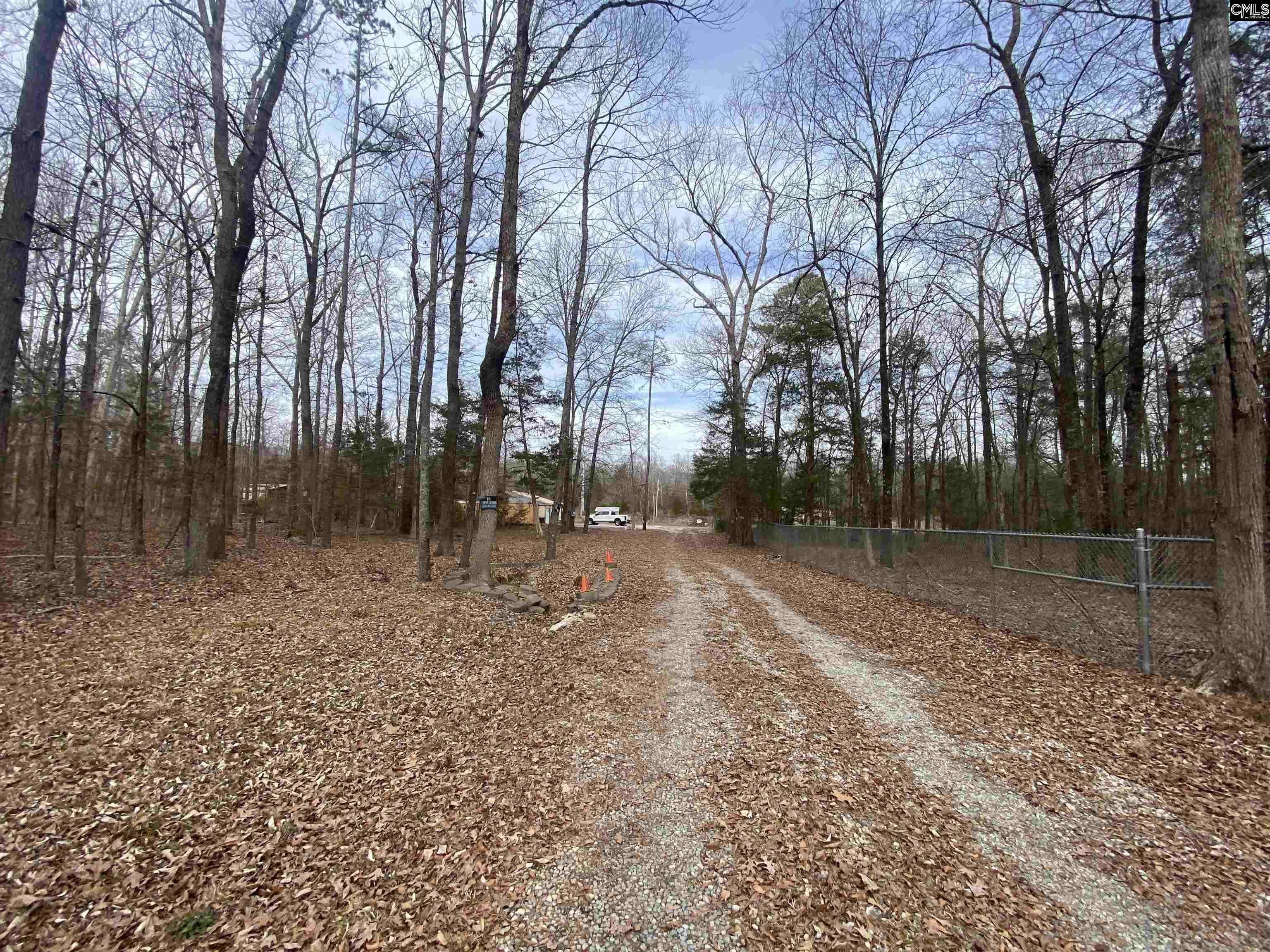 1160 Bookie Richardson Road Chapin, SC 29036 - Photo 7 of 13