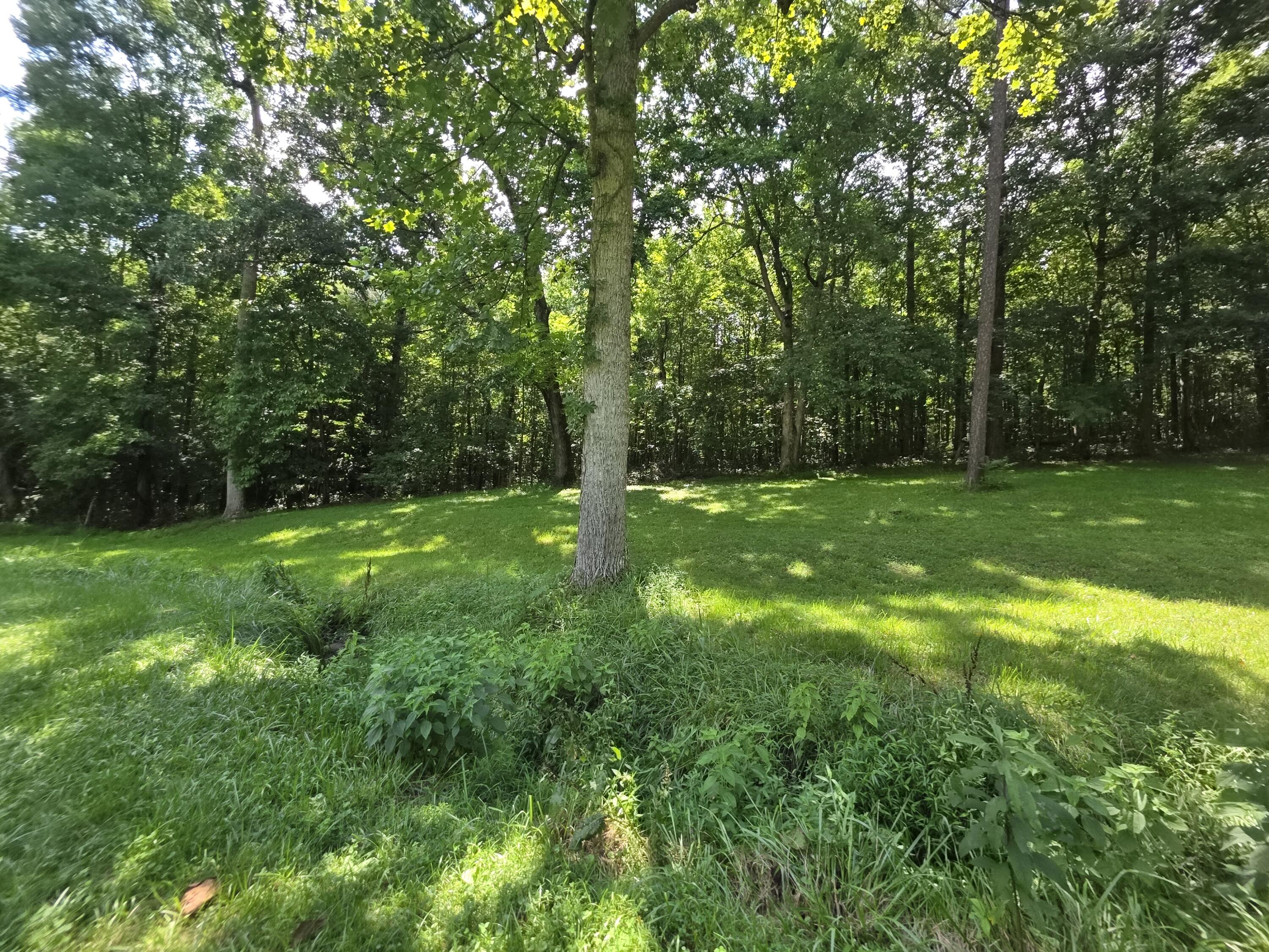 91 Blakley Subdivision Road London, KY 40741 - Photo 18 of 37 20260708_154100