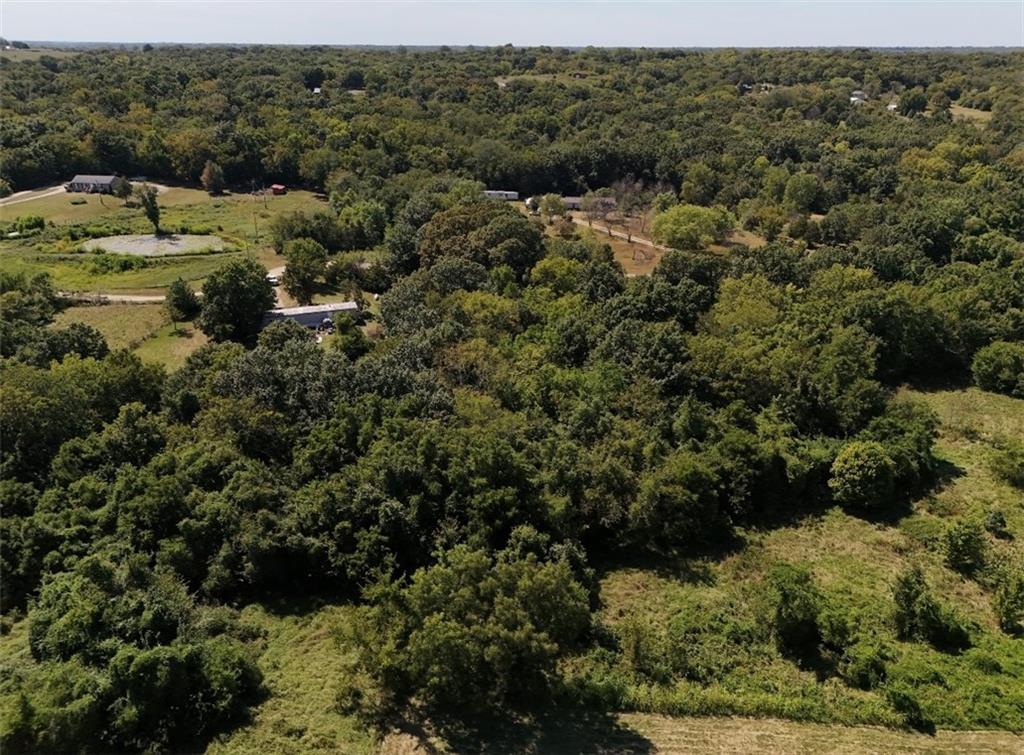 441 Northwest 1821st Road Kingsville, MO 64061 - Photo 4 of 7