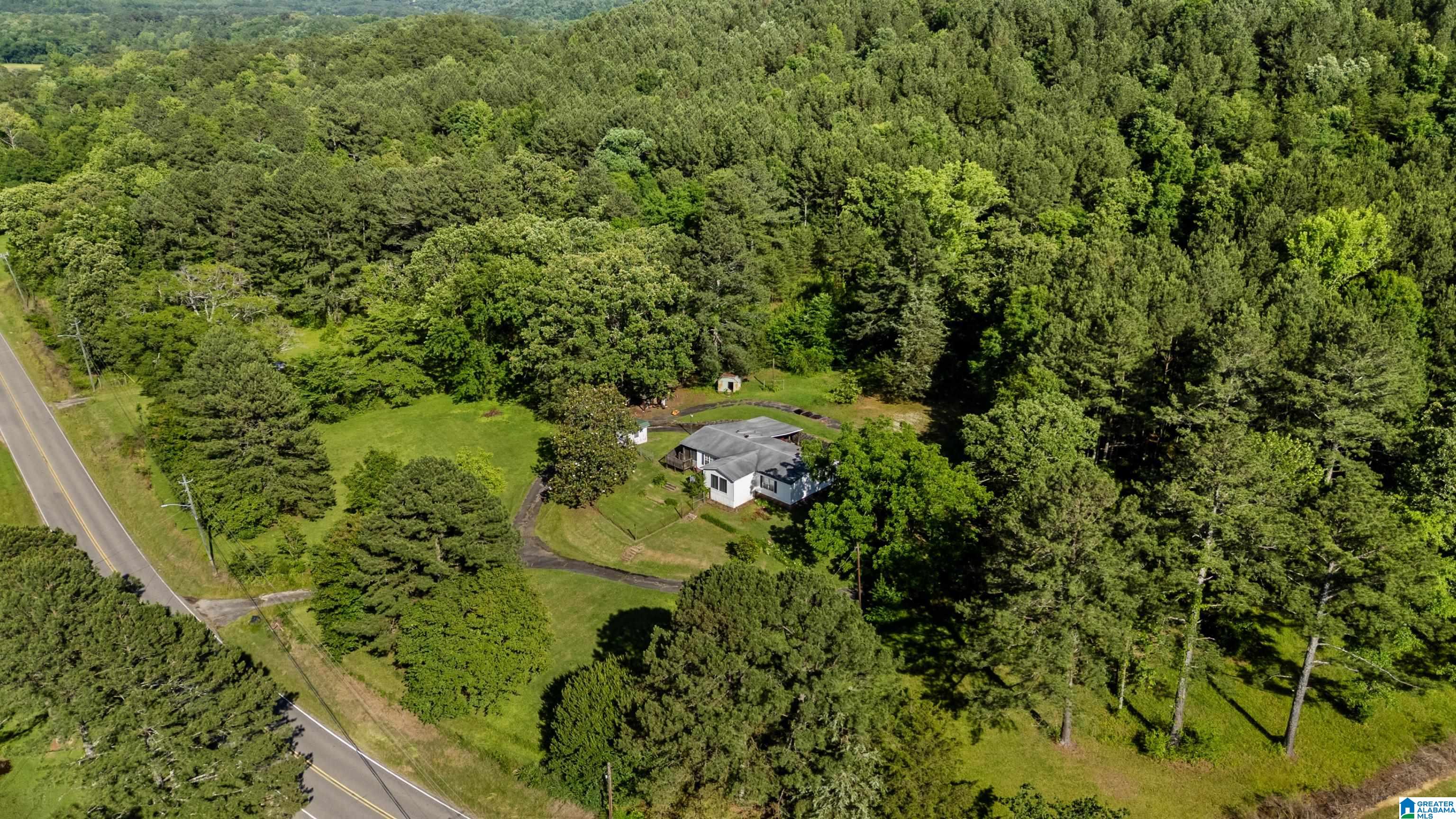 1072 Warrior Jasper Road Warrior, AL 35180 - Photo 26 of 41