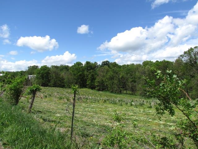 Tbd Trinity Church Road Harrisonburg, VA 22802 - Photo 8 of 8 Gallery Image 8