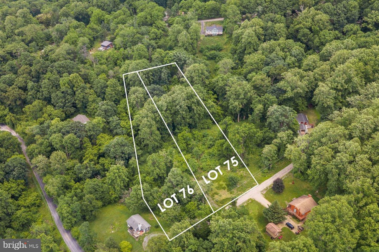 75 Sleepy Hollow Road Linden, VA 22642 - Photo 14 of 19