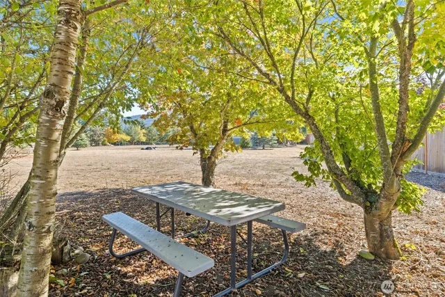 a view of a yard with plants and trees