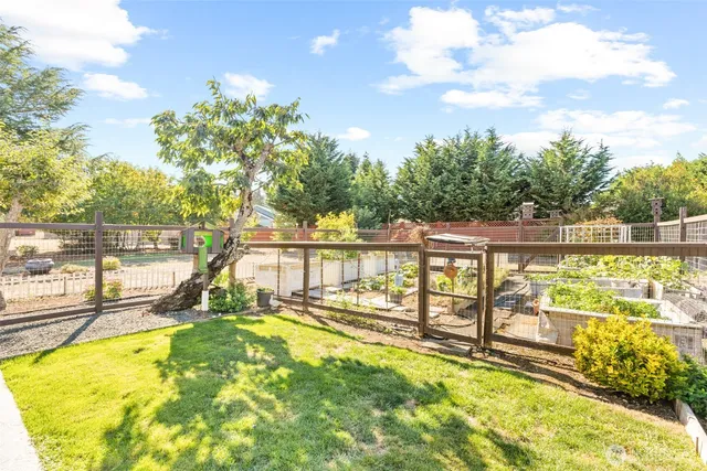 a view of a yard with plants and trees