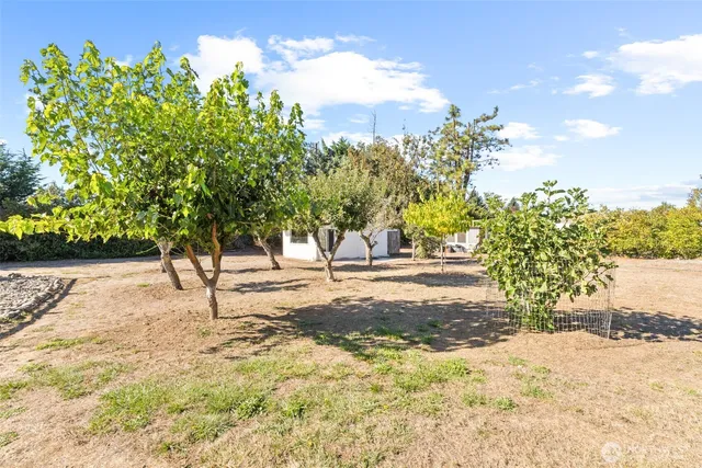 a backyard of a house with lots of green space