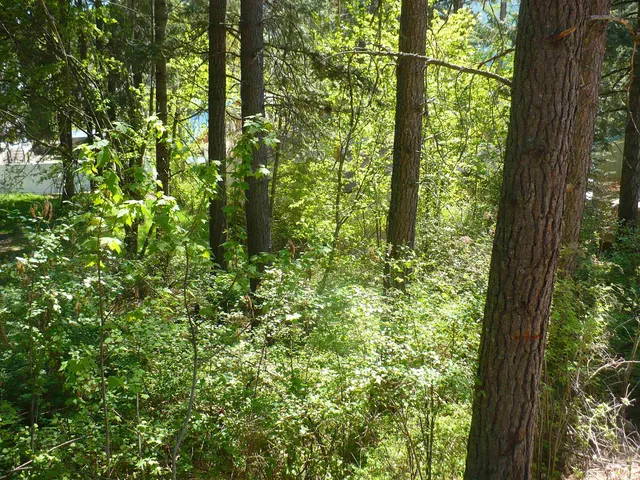 $99,900 | 4619 Terrace Road, Loon Lake, WA 99148