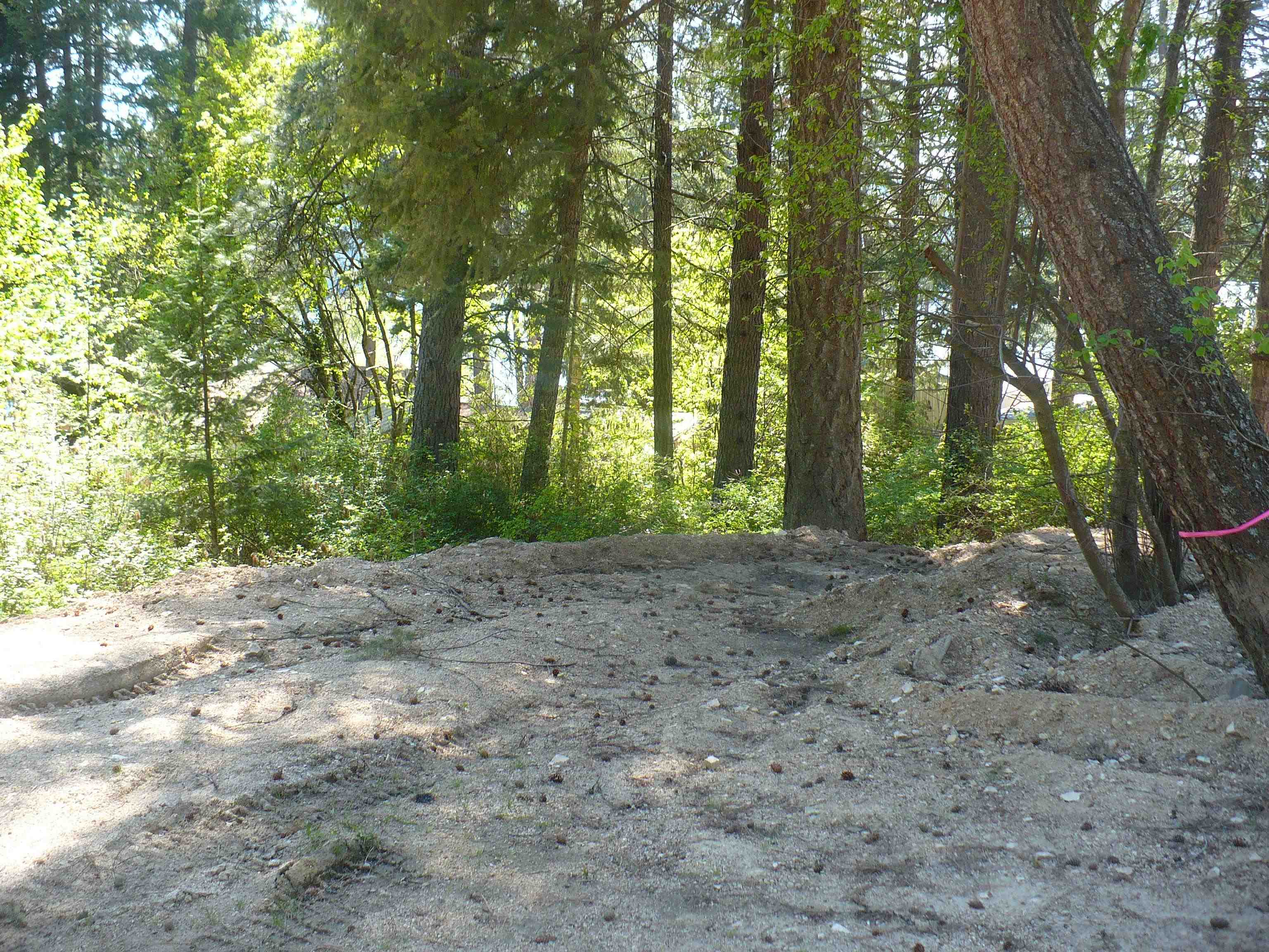 4619 Terrace Road Loon Lake, WA 99148 - Photo 3 of 15 Gallery Image 3