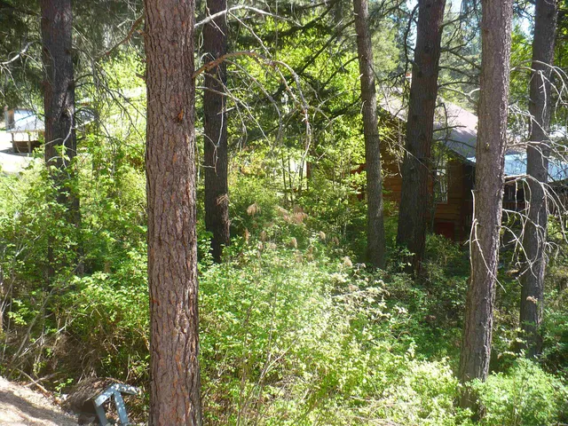 $99,900 | 4619 Terrace Road, Loon Lake, WA 99148