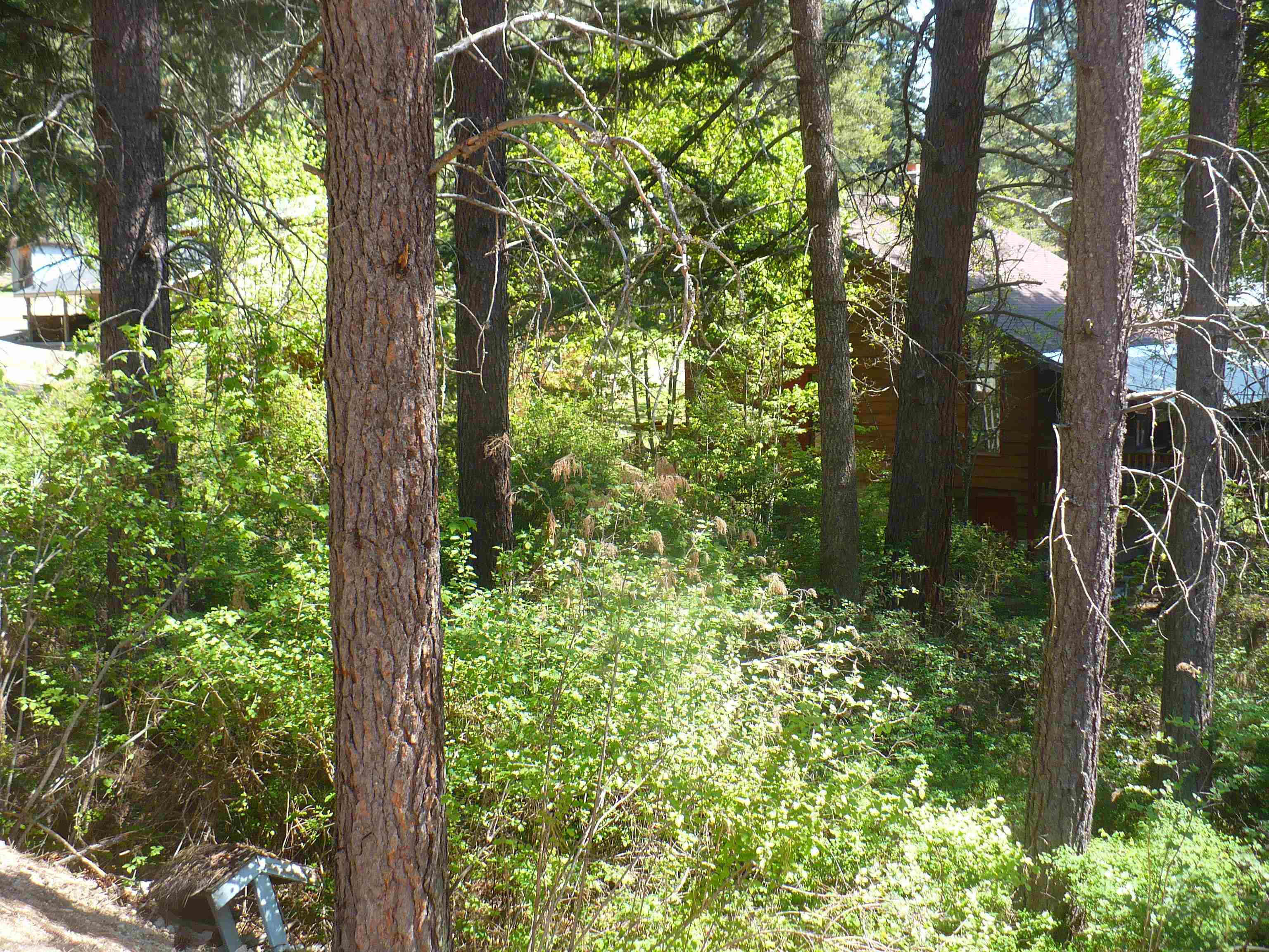 4619 Terrace Road Loon Lake, WA 99148 - Photo 9 of 15 Gallery Image 9