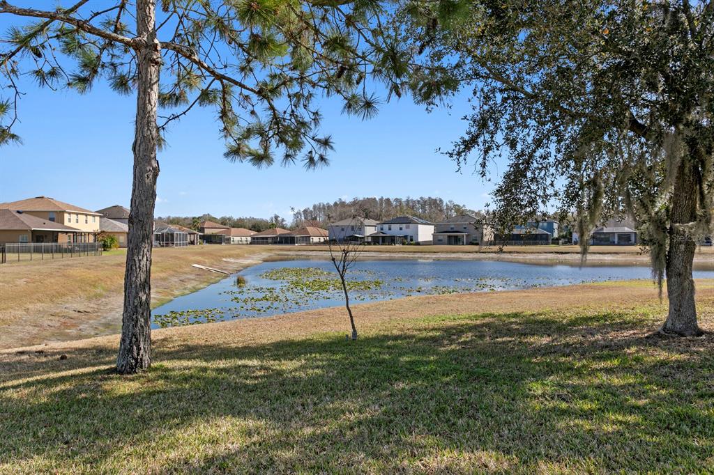 2839 Maple Brook Loop Lutz, FL 33558 - Photo 23 of 61 a view of a street with a yard