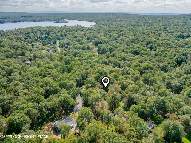 a view of a dry yard