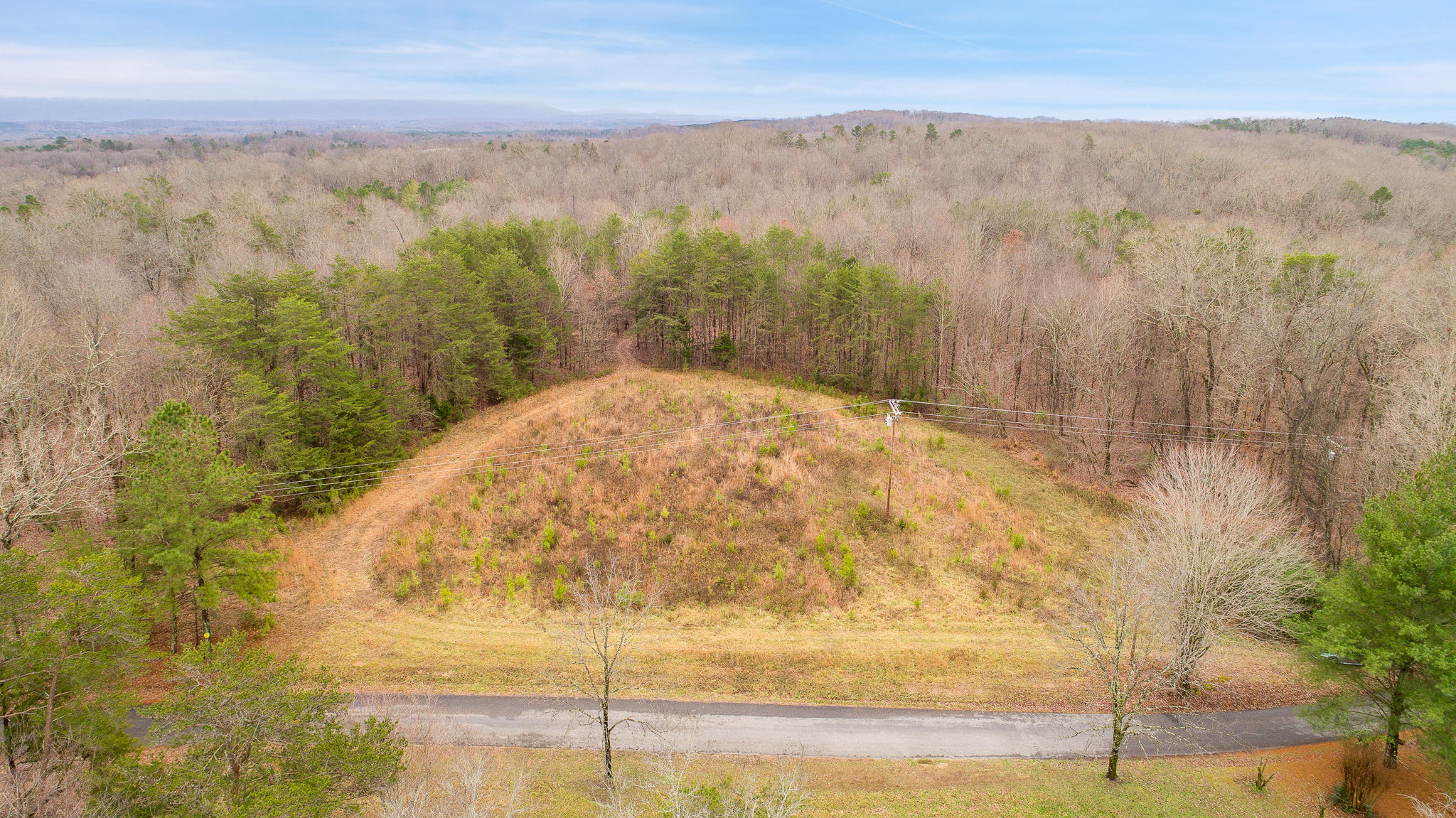 0 County Road 756 Road Riceville, TN 37370 - Photo 1 of 14 Aerial