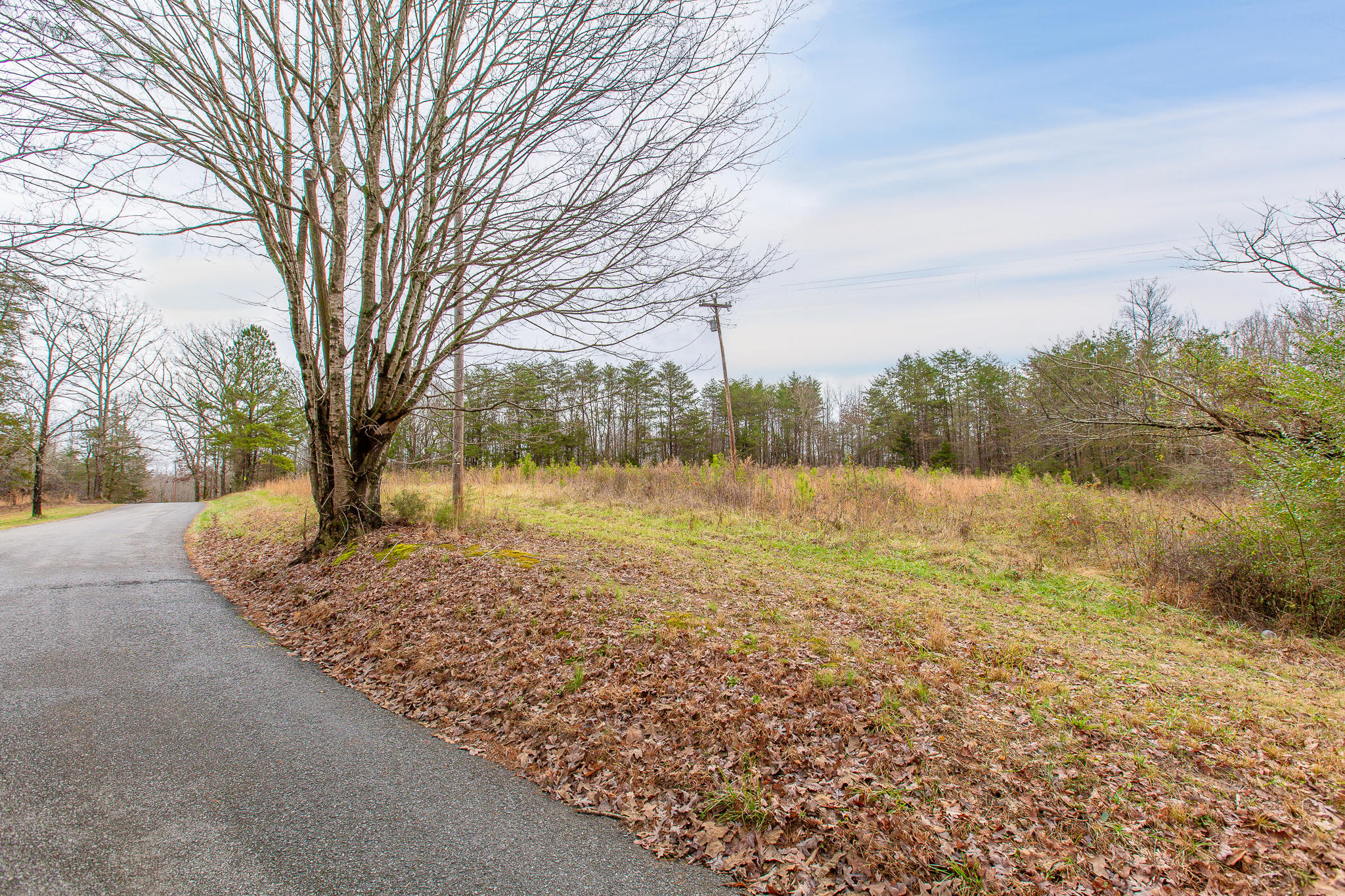 0 County Road 756 Road Riceville, TN 37370 - Photo 11 of 14 Acreage