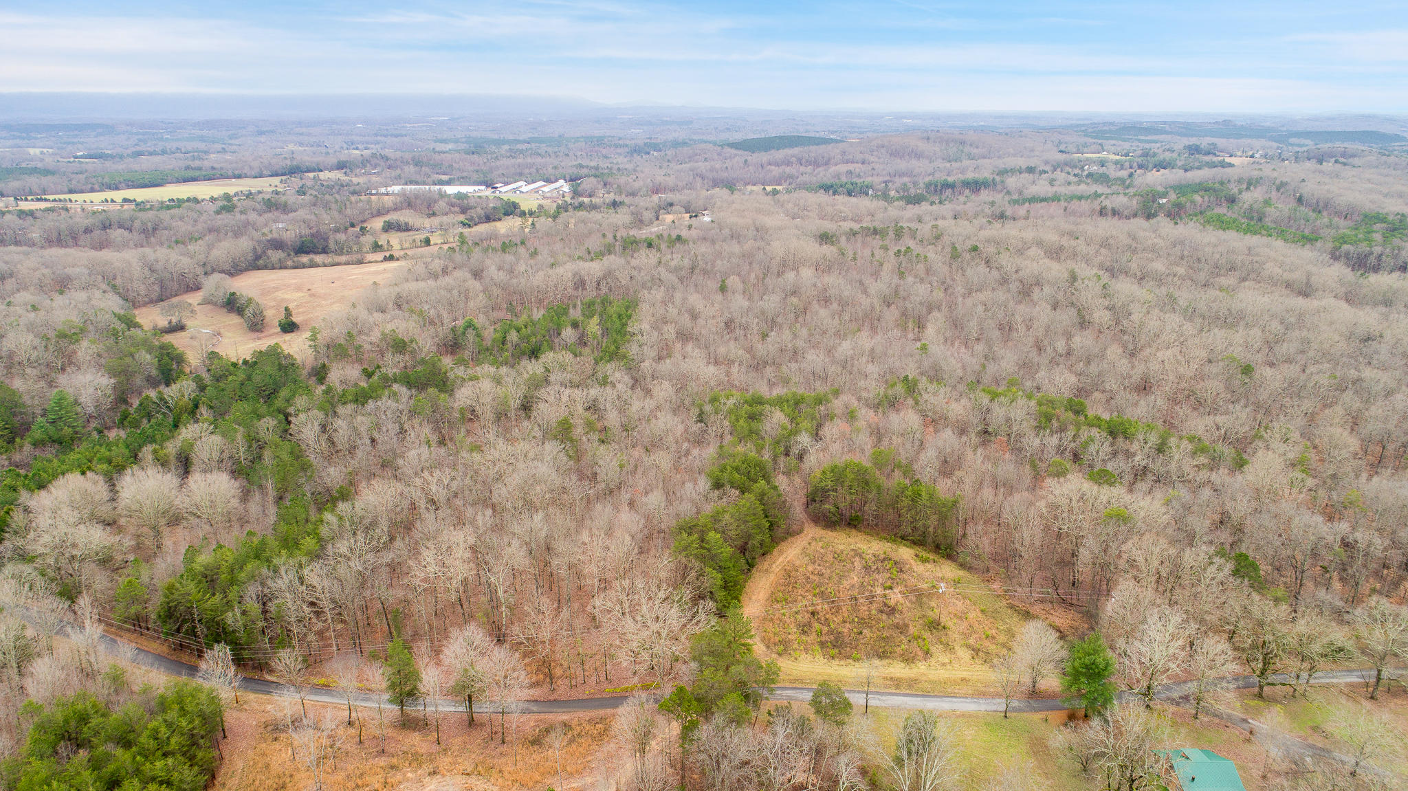 0 County Road 756 Road Riceville, TN 37370 - Photo 13 of 14 Aerial