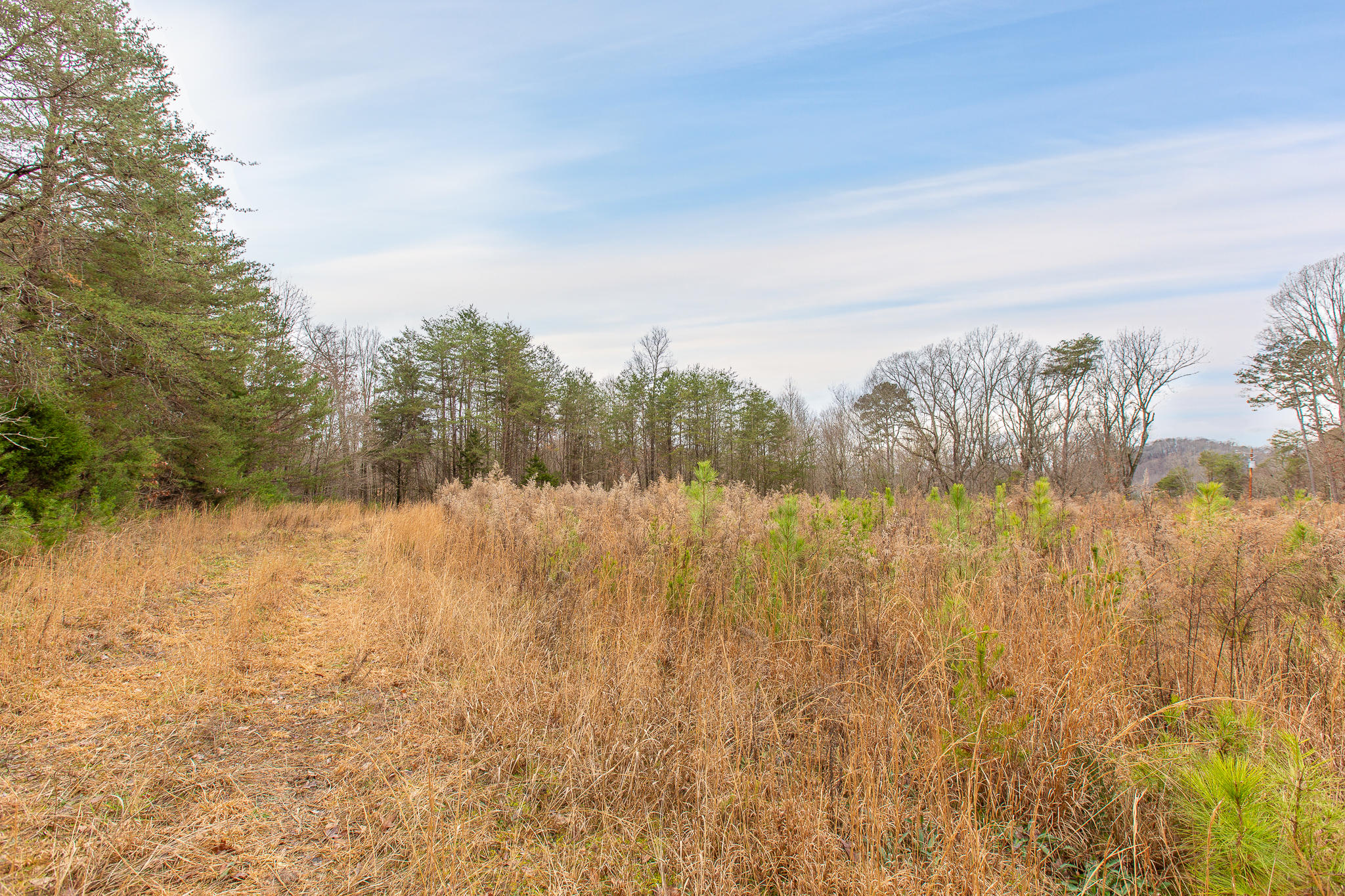 0 County Road 756 Road Riceville, TN 37370 - Photo 8 of 14 Acreage