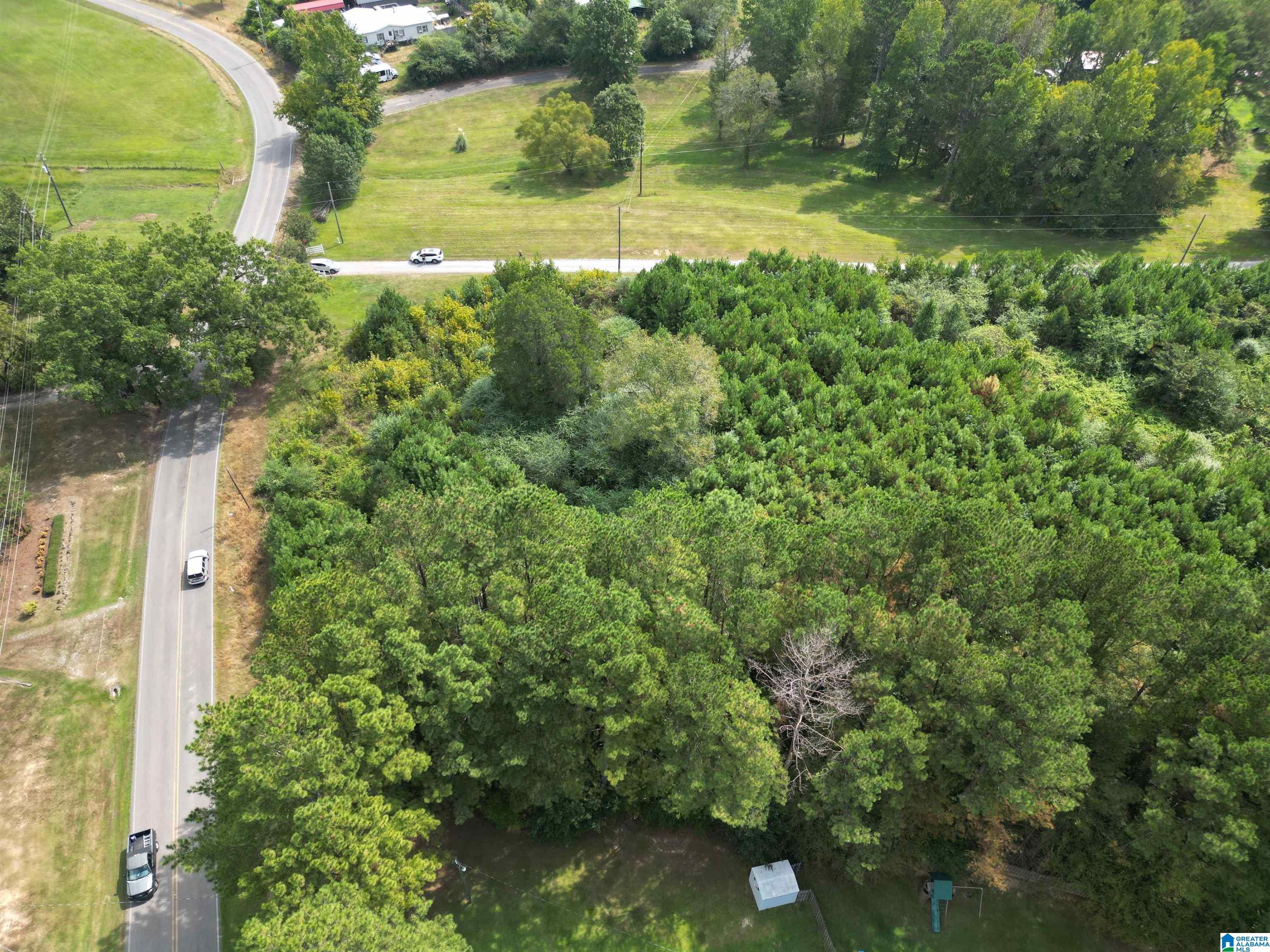 2941 County Line Drive, Unit 1 Trafford, AL 35172 - Photo 9 of 15