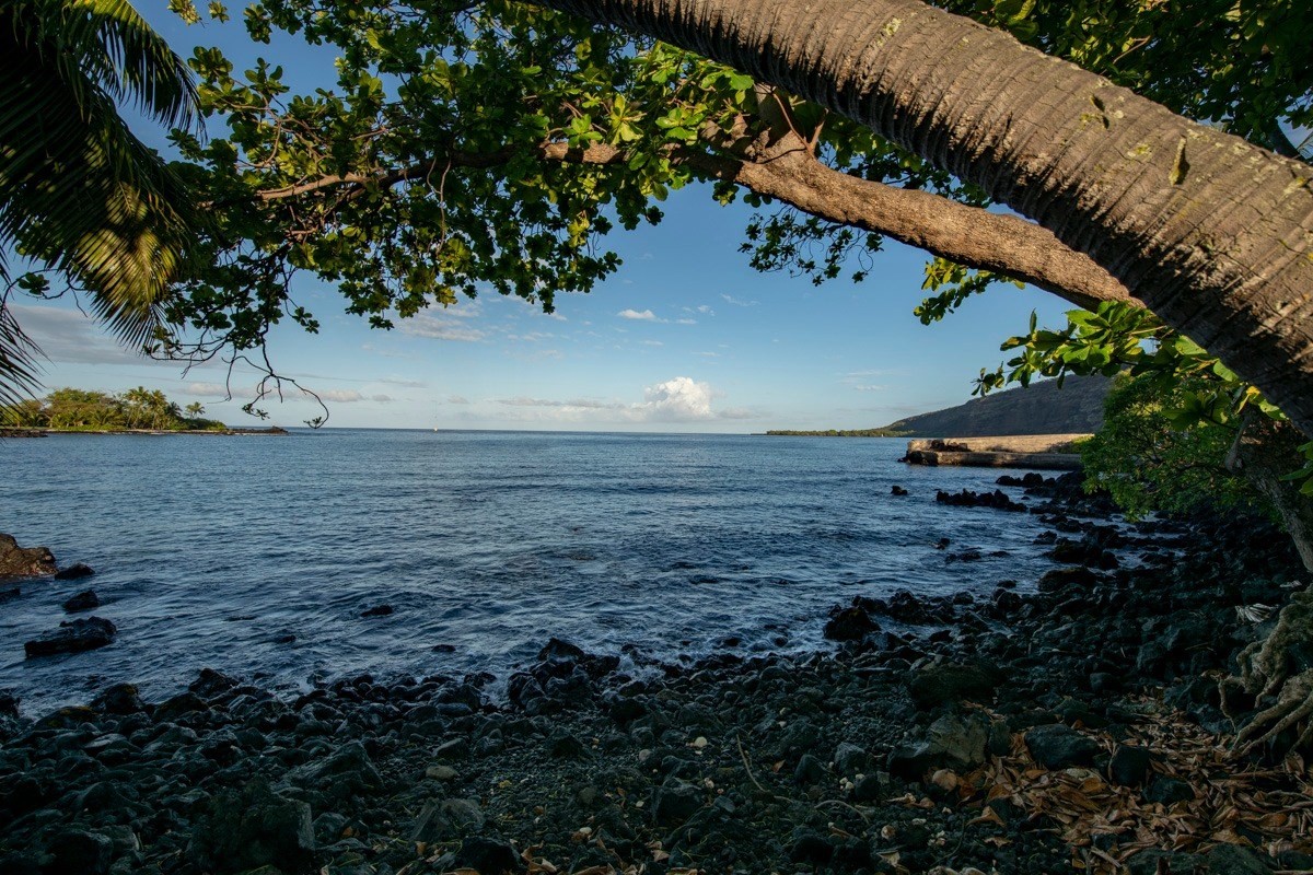 82-6017 Puuhonua Road Captain Cook, HI 96704 - Photo 3 of 26 Gallery Image 3