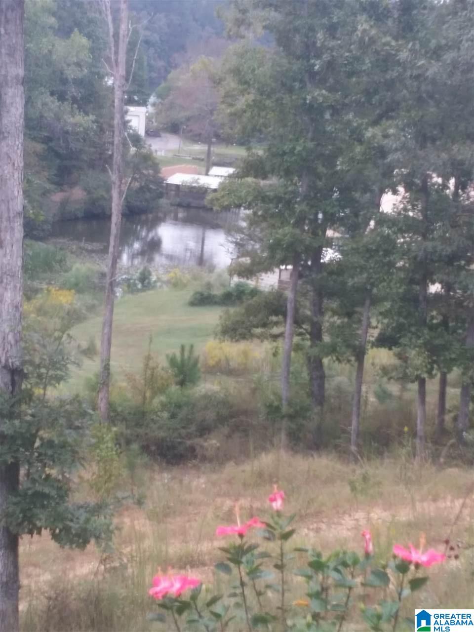 9091 Manley Vines Camp Road Bessemer, AL 35023 - Photo 15 of 15