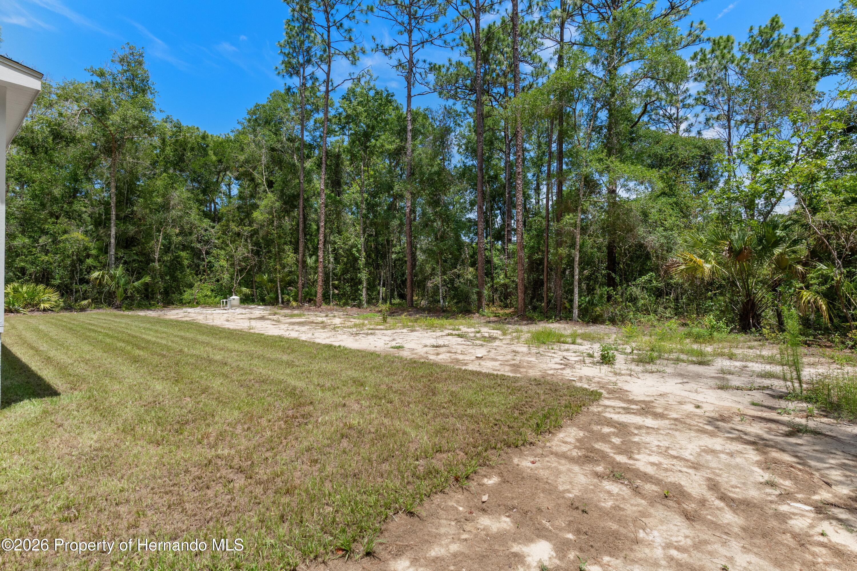 14249 Razorbill Avenue Weeki Wachee, FL 34614 - Photo 40 of 40