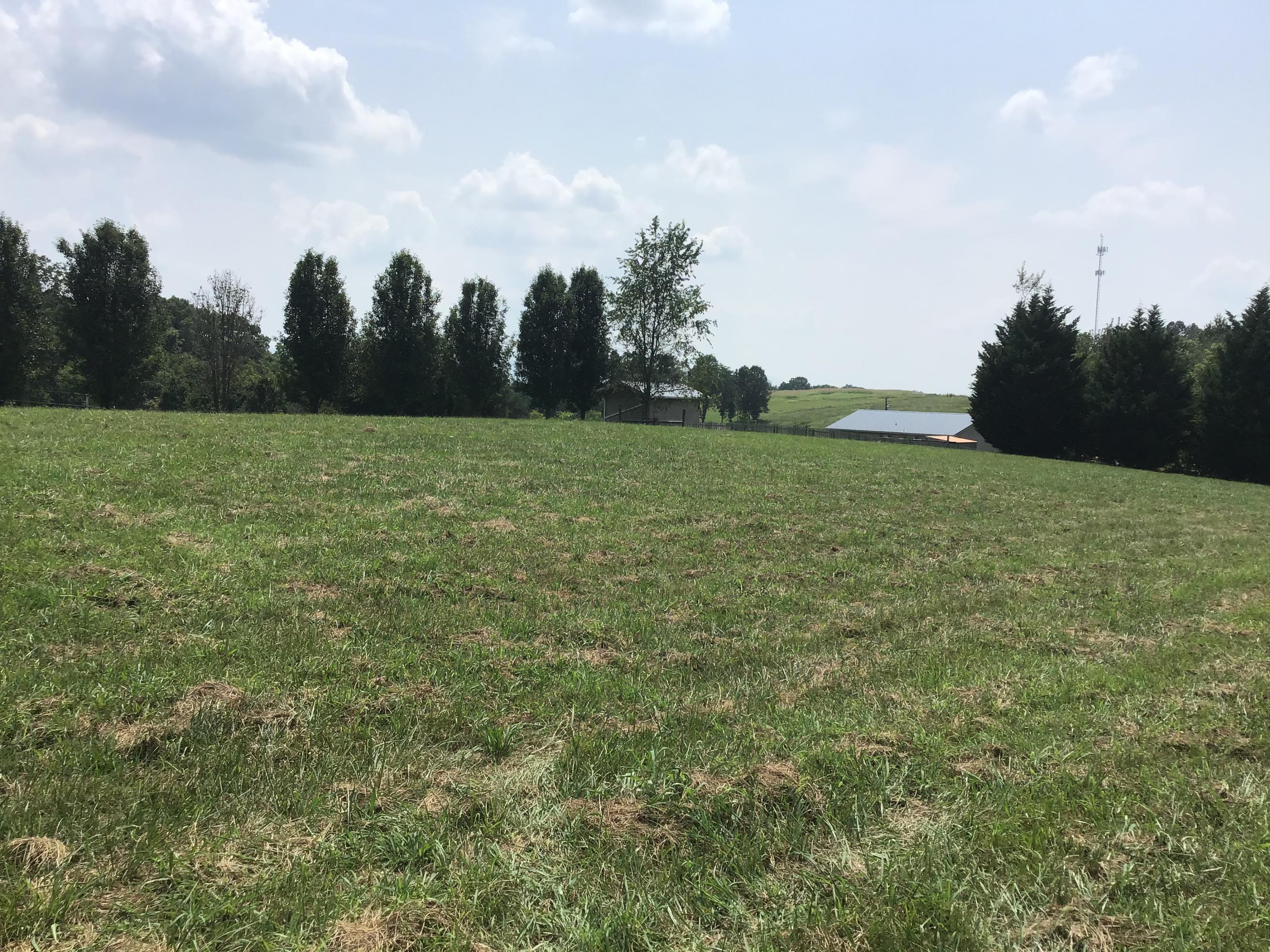 Tbd Wykle Road, Unit 4 Greeneville, TN 37743 - Photo 3 of 10 096319FB-E71C-4394-81B7-E6B2AFF1DD5A