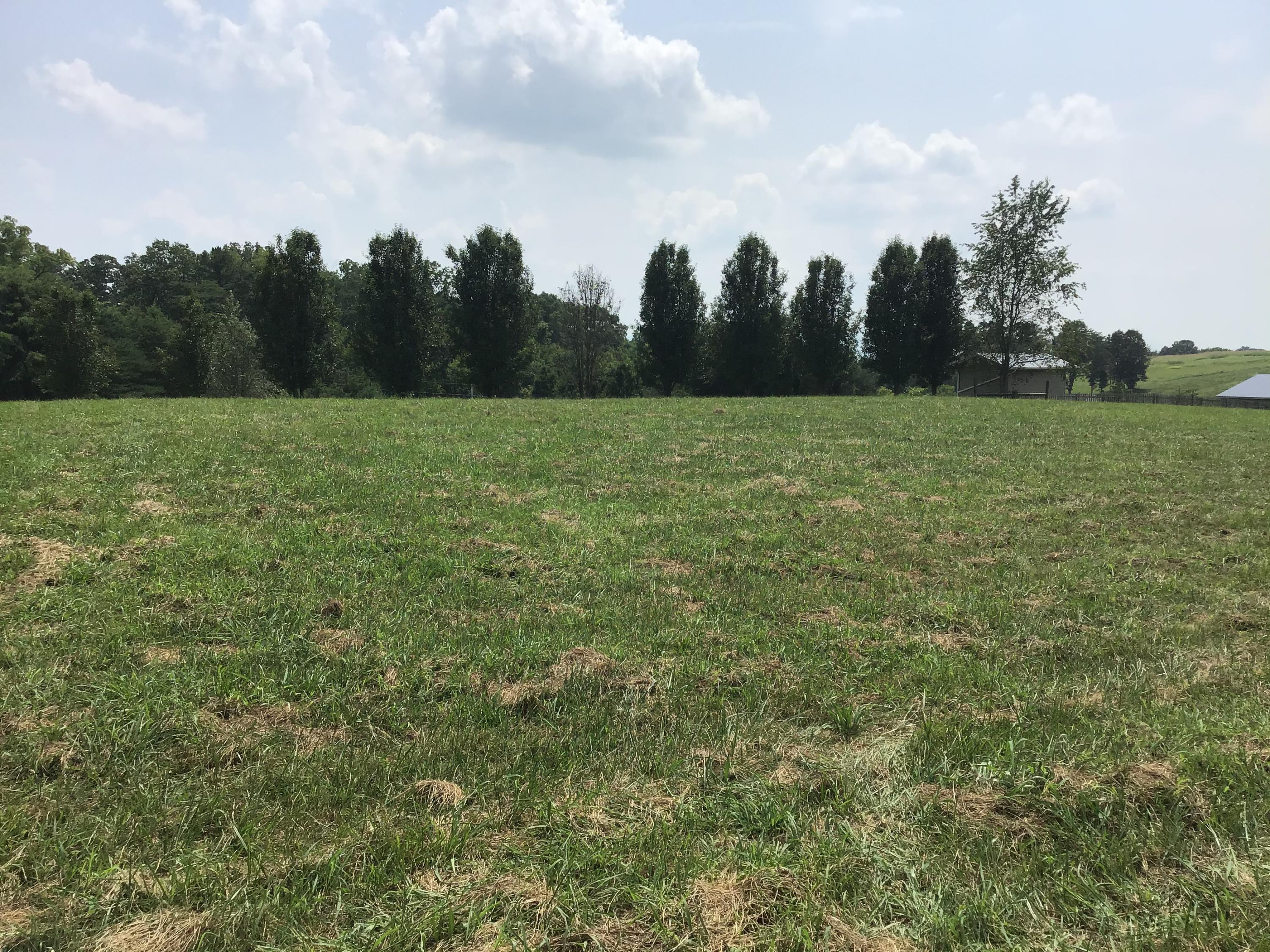 Tbd Wykle Road, Unit 4 Greeneville, TN 37743 - Photo 4 of 10 D974CB44-E8BA-4992-AC81-25676E02D854