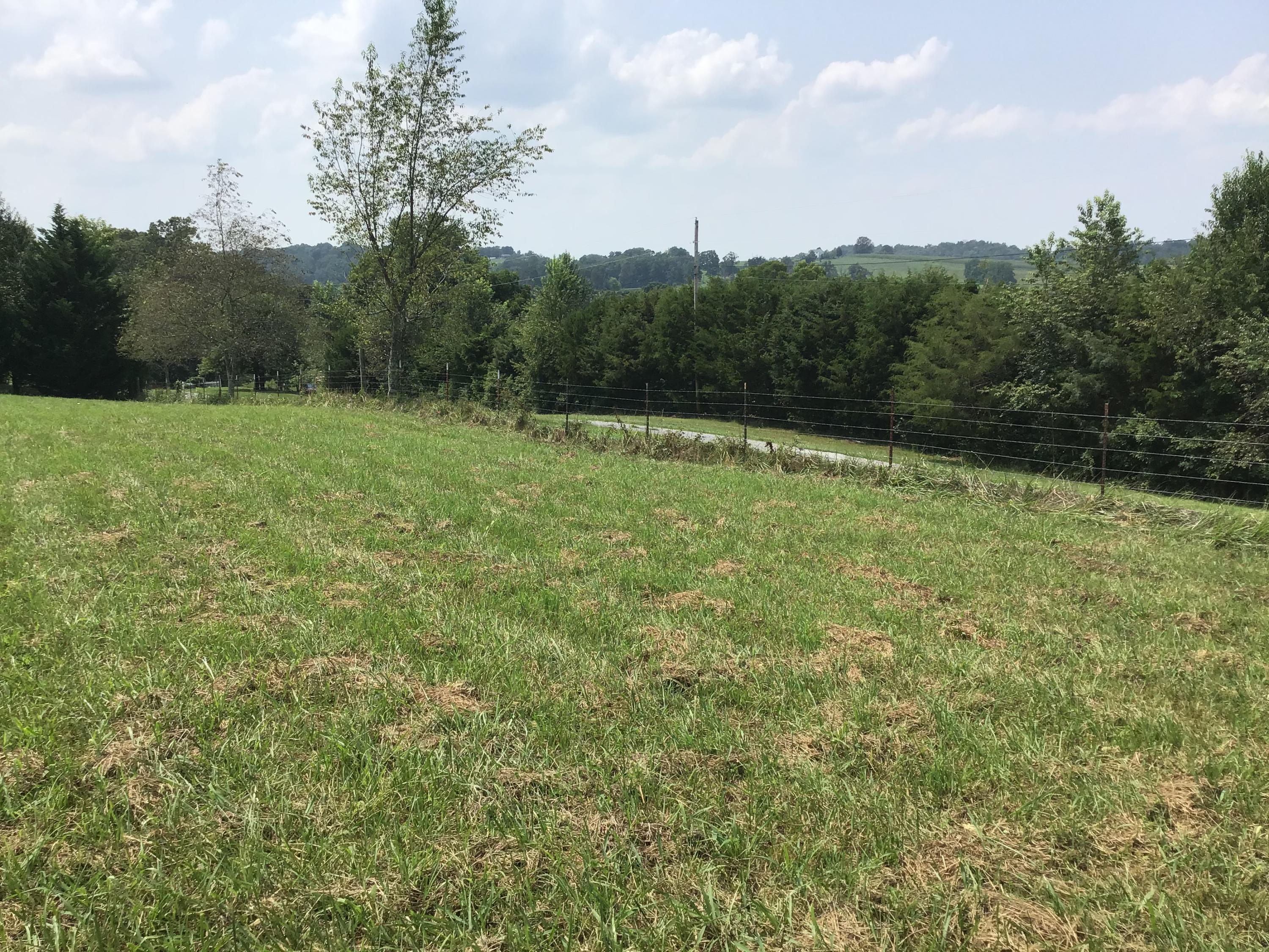 Tbd Wykle Road, Unit 4 Greeneville, TN 37743 - Photo 5 of 10 1A69D907-5CA0-4E53-AFA3-8F0D80549122