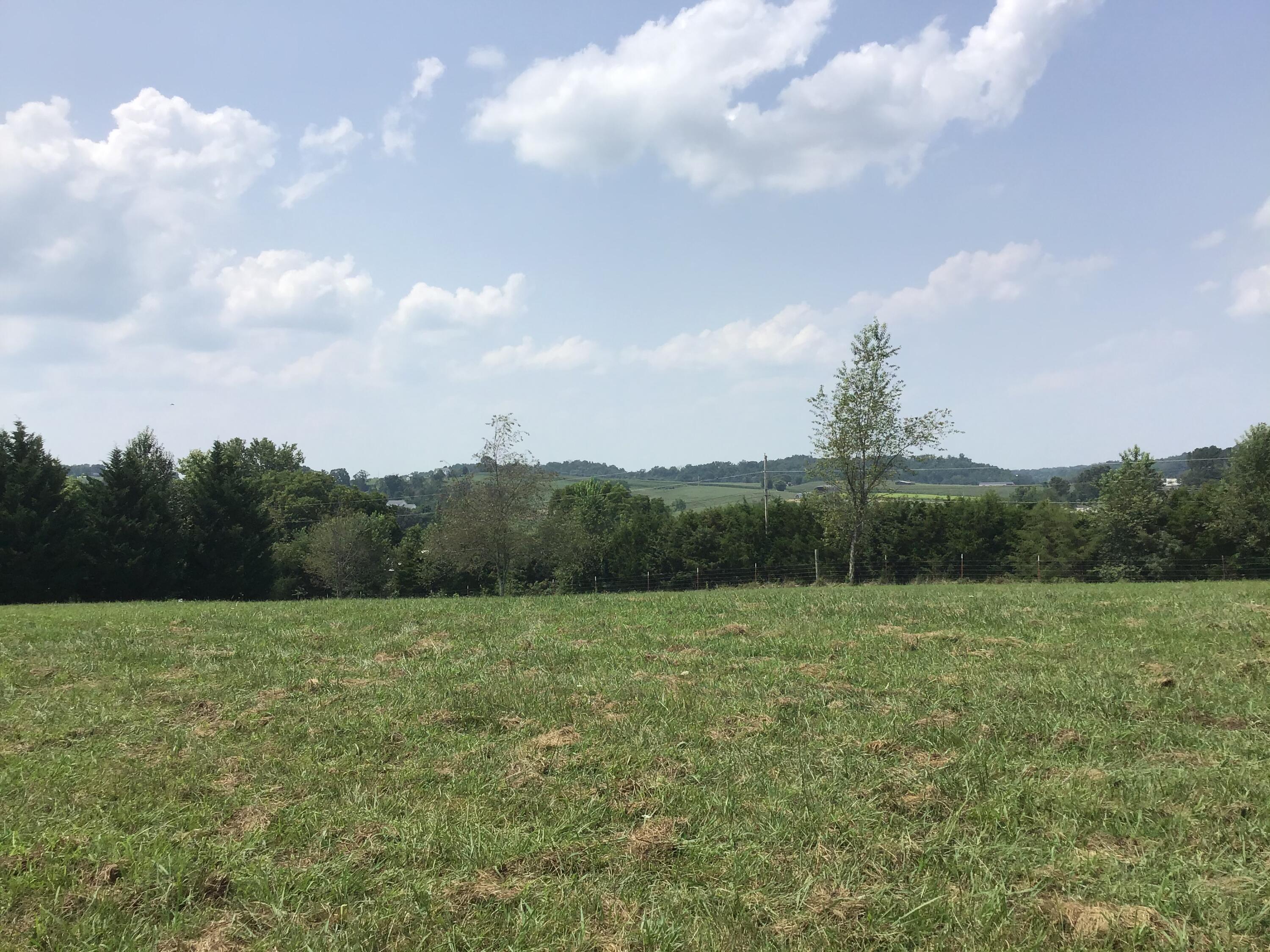 Tbd Wykle Road, Unit 4 Greeneville, TN 37743 - Photo 8 of 10 02DB4014-9CFC-42E2-AE31-F4DB59FE9F2C