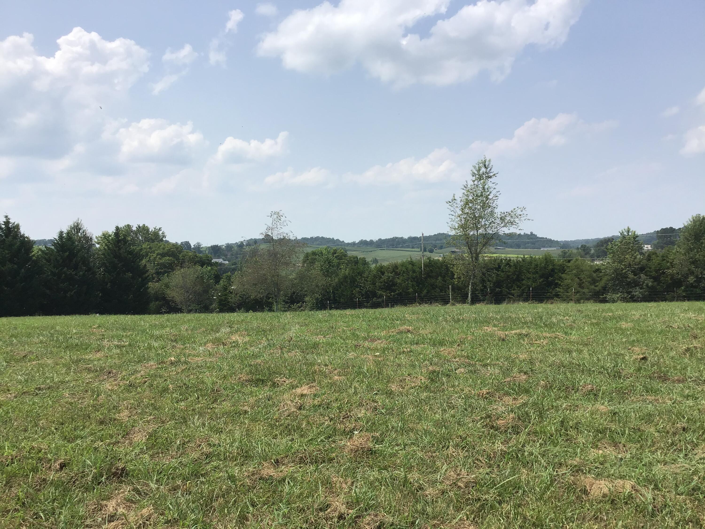 Tbd Wykle Road, Unit 4 Greeneville, TN 37743 - Photo 9 of 10 0E182D95-ABAC-4168-B232-7B255EA3A2A2