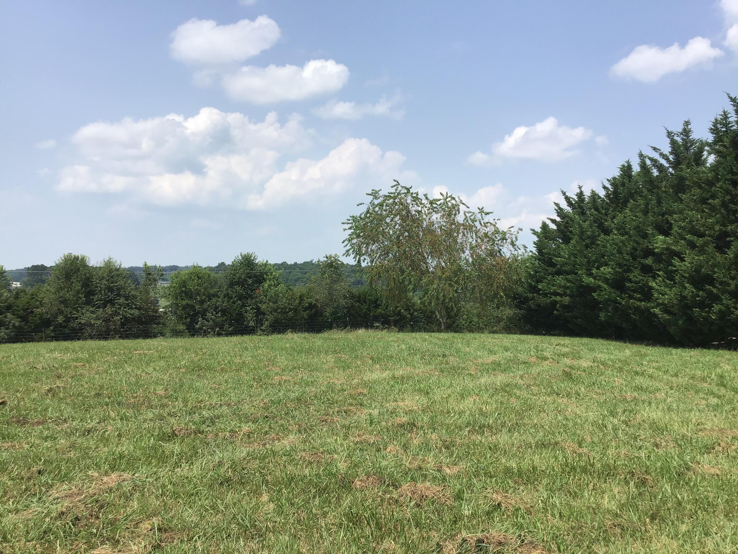 Tbd Wykle Road, Unit 4 Greeneville, TN 37743 - Photo 10 of 10 EED08B57-209B-4536-AF5E-71BDB2FBFD08