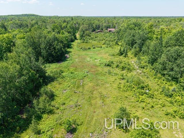 509 Dukes Road Skandia, MI 49885 - Photo 47 of 63
