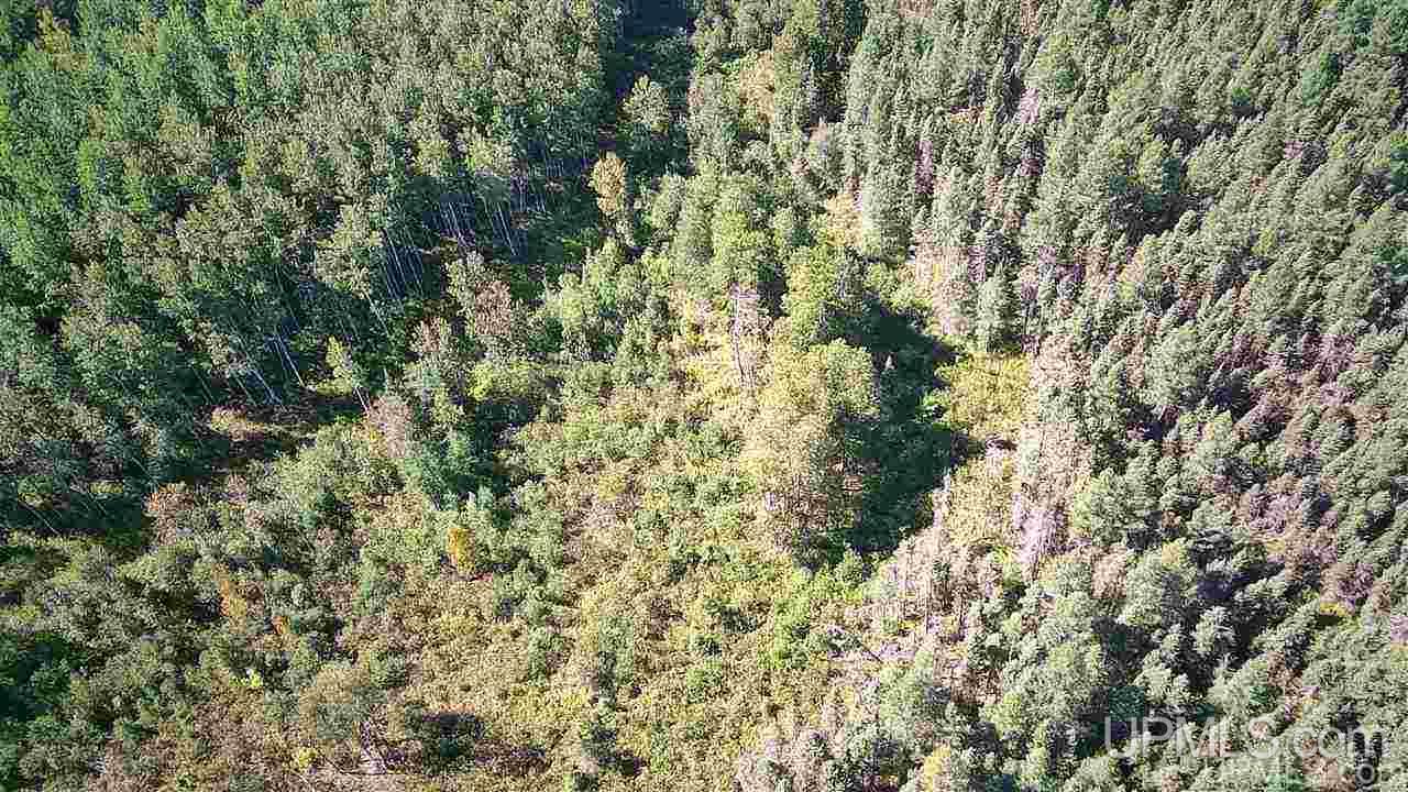 Tbd Off Of Co Rd 557, Unit 1 Arnold, MI 49819 - Photo 8 of 16