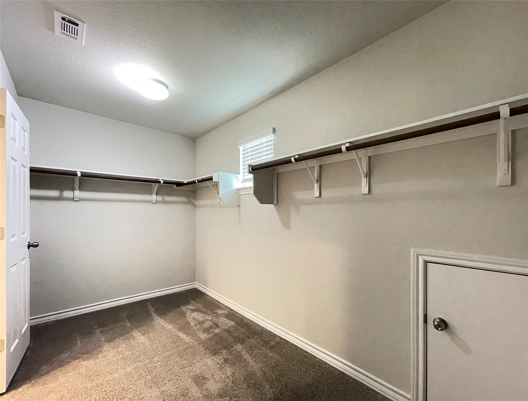 1602 Jacey Way Austin, TX 78725 - Photo 27 of 33 Spacious walk-in closet featuring plush carpet flooring, built-in shelving and hanging rods, a single window with blinds, and white trim throughout