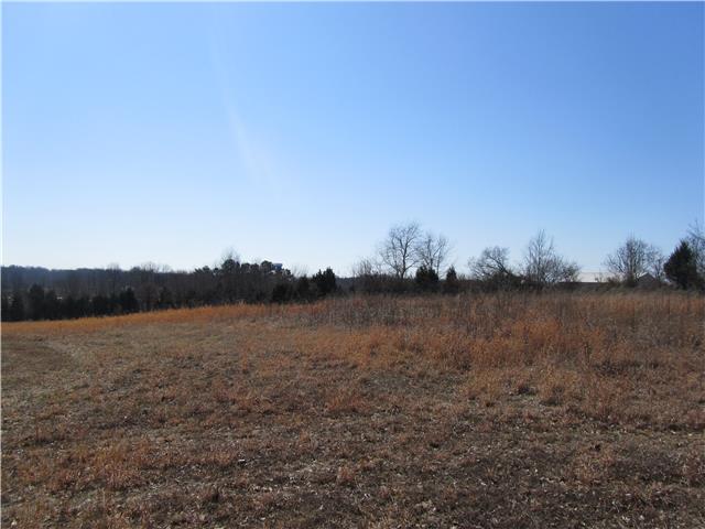 3 Bridges Road Springfield, TN 37172 - Photo 3 of 5 Gallery Image 3