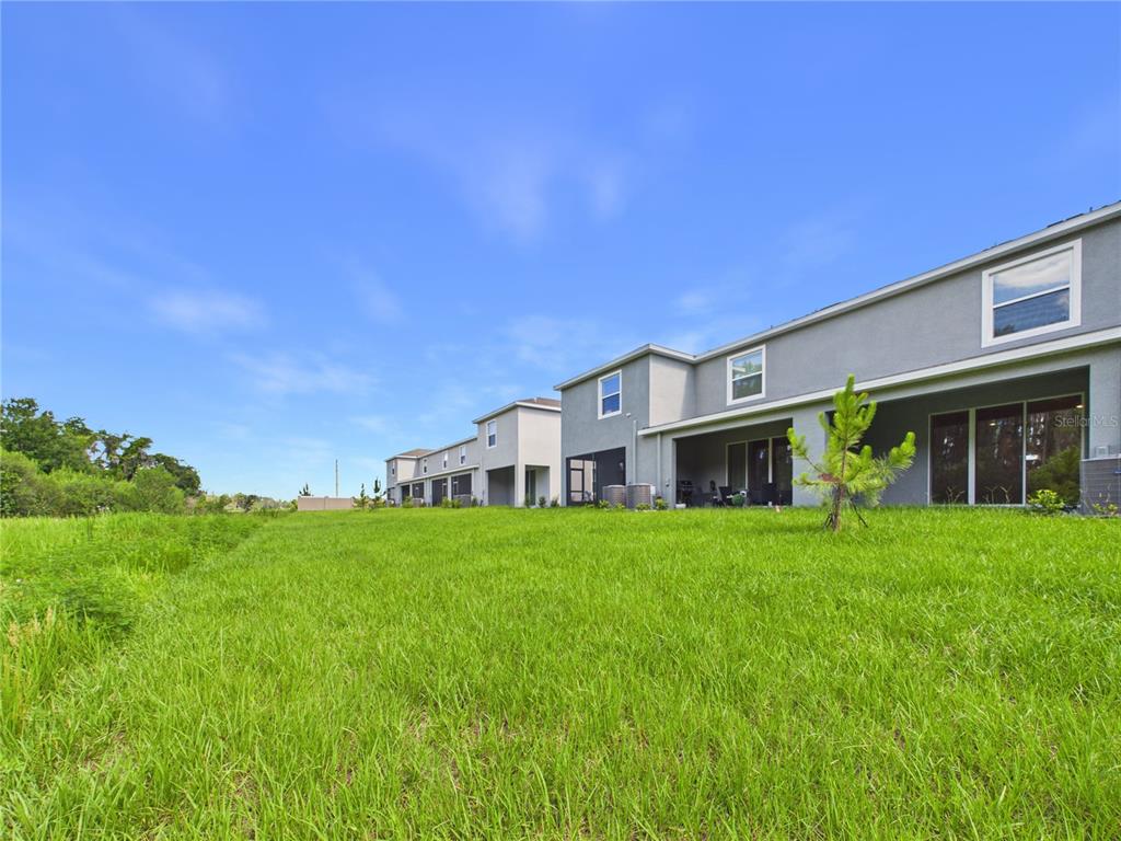 32519 Welling Blade Loop Wesley Chapel, FL 33545 - Photo 54 of 87