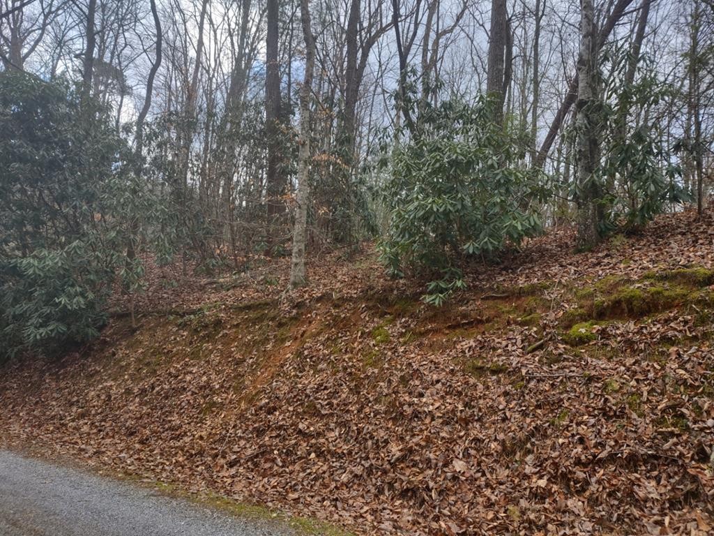 4 Valley Home Road Sevierville, TN 37862 - Photo 1 of 6
