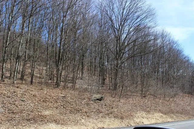 $29,999 | 0 County Highway, Fly Creek, NY 13337