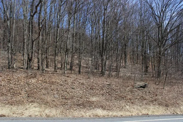 $29,999 | 0 County Highway, Fly Creek, NY 13337