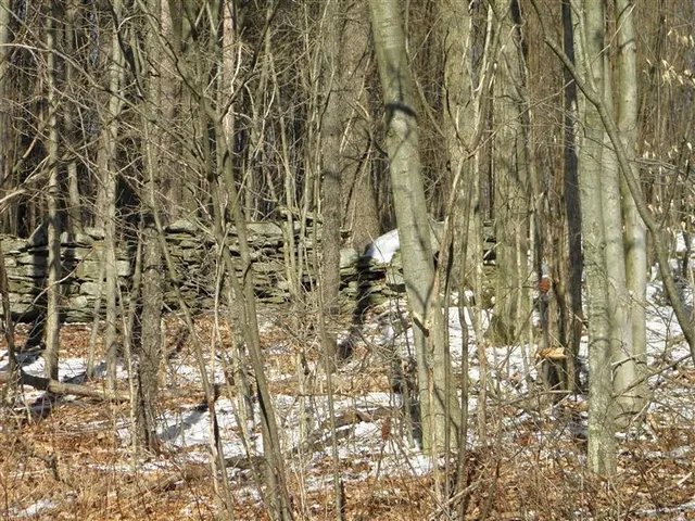 $29,999 | 0 County Highway, Fly Creek, NY 13337