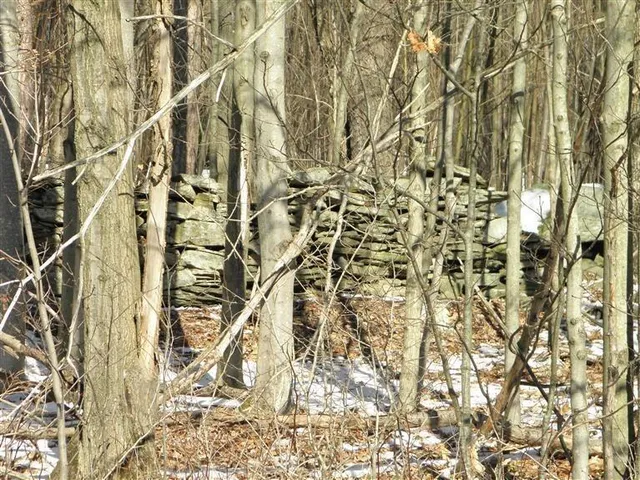 $29,999 | 0 County Highway, Fly Creek, NY 13337